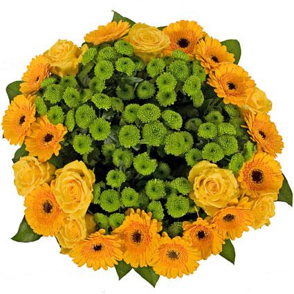 Ziedi: Krāsu svētki