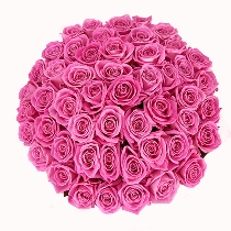 Rozā rožu pušķis