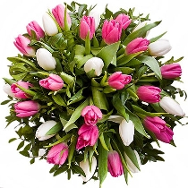 Букет тюльпанов: Весеннее объятие